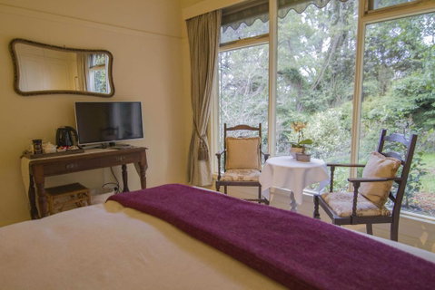 Billy Buttons Bed And Breakfast - Dentist Find 2