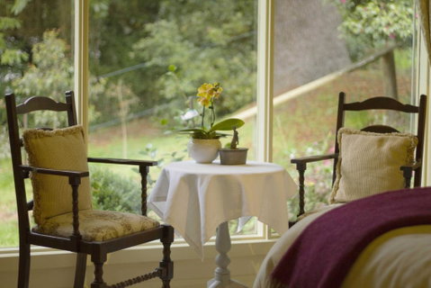 Billy Buttons Bed And Breakfast - Dentist Find 1