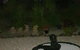 Birdhouse Cottage B&B - thumb 1