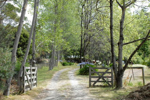 Birdwing Bed And Breakfast Weegena - Dentist Find 3