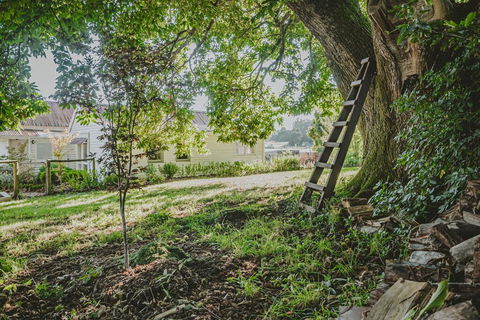 Blacksmiths Cottage - Dentist Search 1