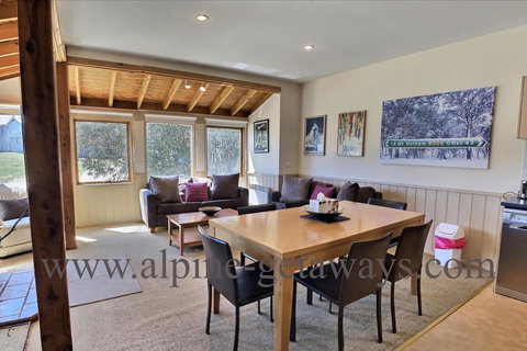 Blue-Bird - Dentist Find 2