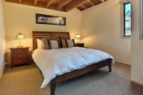 Blue-Bird - Dentist Find 0