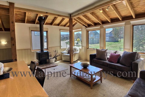 Blue-Bird - Dentist Find 3