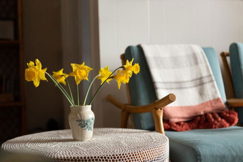 Boho Cottage - Dentist Find 1