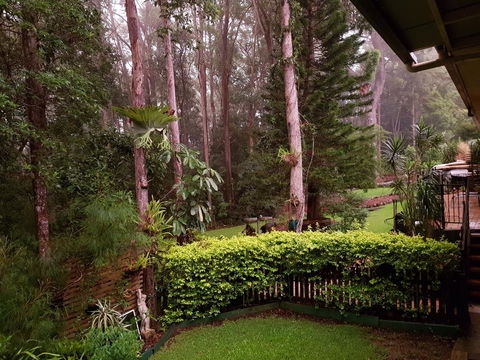 Buderim Forest Hideaway - Dentist Find 2