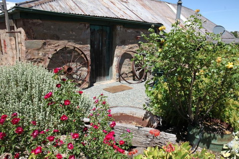 Burra Bakehouse - Dentist Find 3