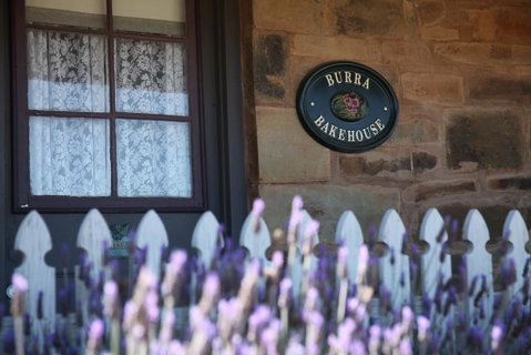Burra Bakehouse - Dentist Find 2