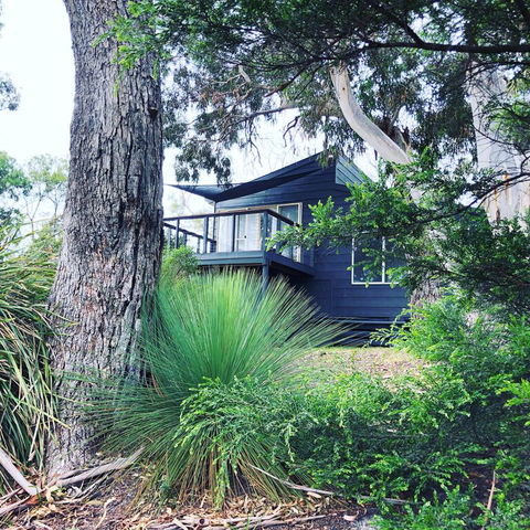 Bush Hideaway By The Beach - Dentist Find 3