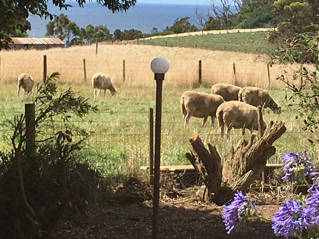 Cape View B and B