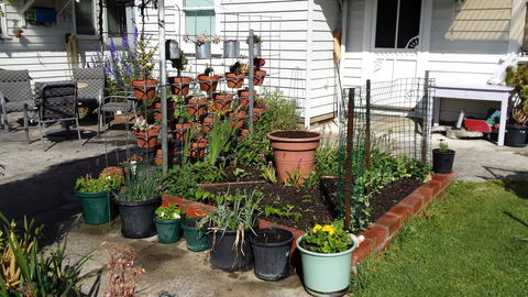 Carisbrook Cottage Queenscliff - Dentist Find 1