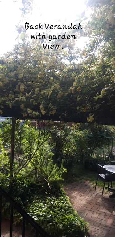 CBD Home Rinaldi's - Dentist Find 3