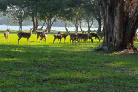 Chateau Le Marais - Dentist Search 2