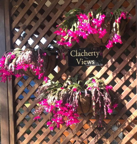 Clacherty Views - Dentist Find 3