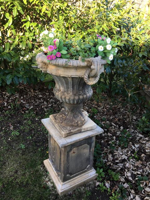 Clubbe Cottage - Dentist Find 1