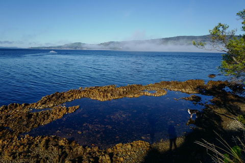 Coast House Tasmania - Dentists Australia 2