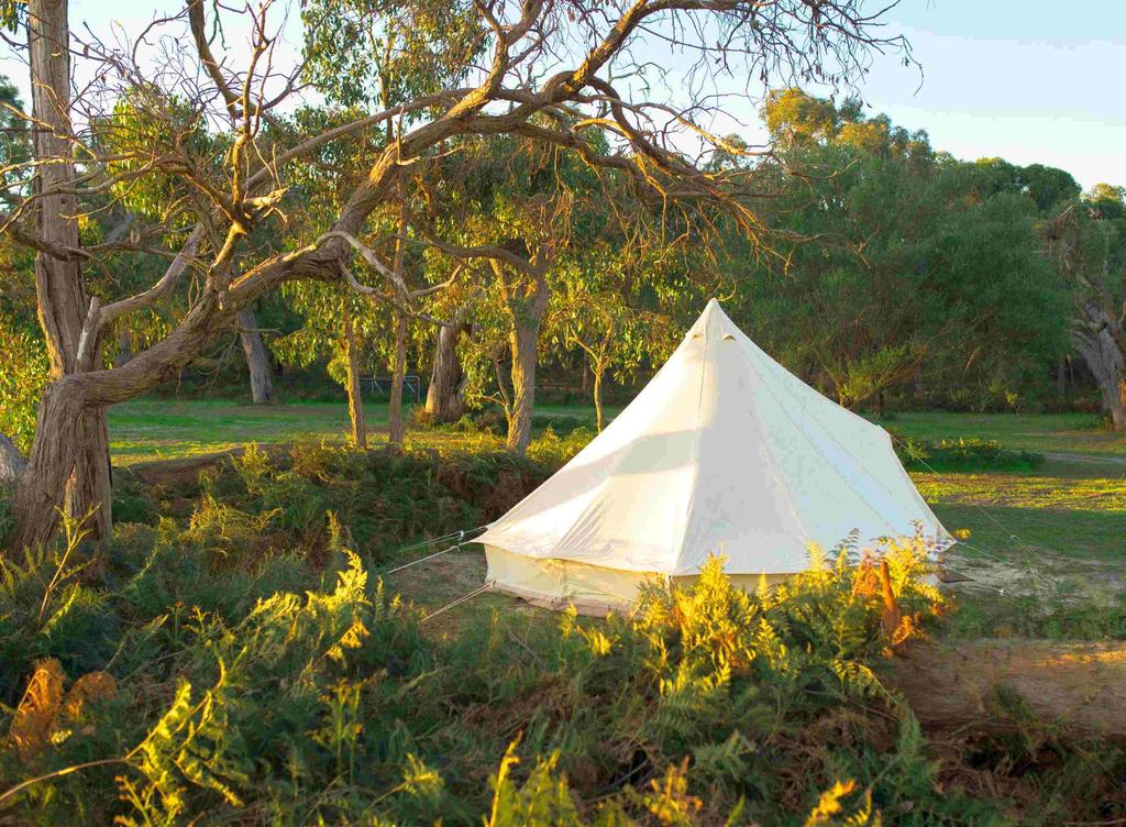 Coonawarra Bush Holiday Park