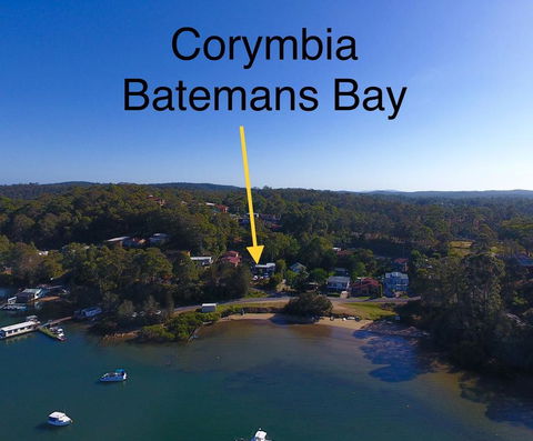 Corymbia Batemans Bay - Dentist Find 1