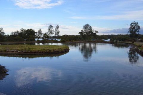 Cottage Port Stephens / Swan Bay, NSW - Dentist Find 2