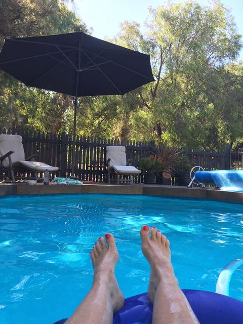 Country Retreat On 1 Acre With Pool, Hot Tub Surrounded By Trees - Dentist Find 3