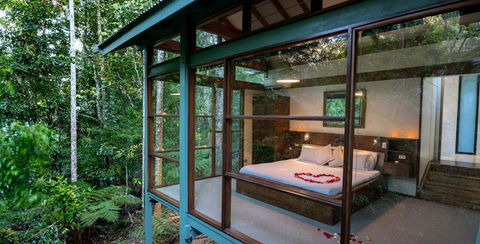 Crystal Creek Rainforest Retreat - Dentist Search 3