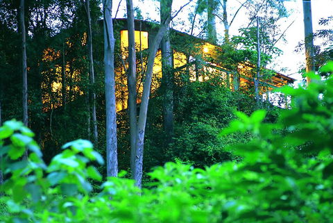 Crystal Creek Rainforest Retreat - Dentist Search 1