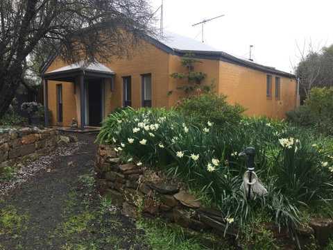 Cullen House - Dentist Find 0