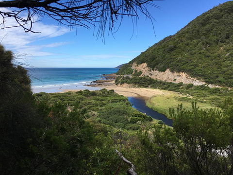 Cumberland River Holiday Park - Dentists Australia 3