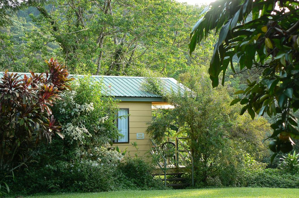 Daintree Valley Haven