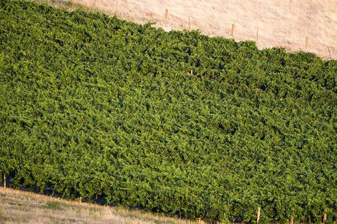 Dairyman's Cottage - Dentist Search 1