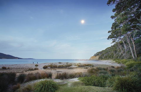 Depot Beach Cabins - Dentist Find 1