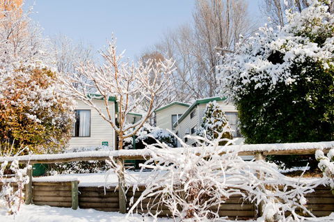 Discovery Parks - Jindabyne - Dentist Search 1