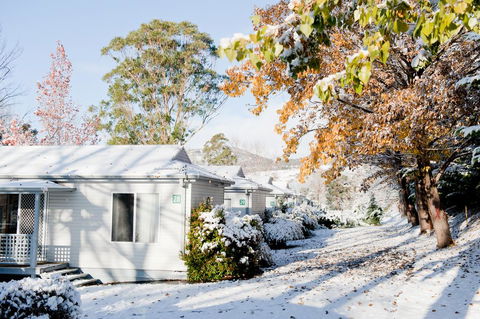 Discovery Parks - Jindabyne - Dentist Search 0