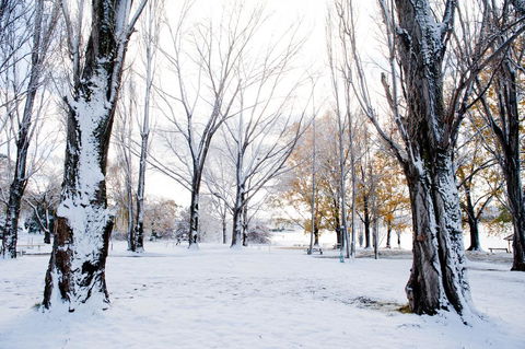 Discovery Parks - Jindabyne - Dentist Search 3