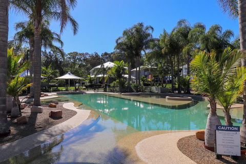 Dollarbird Treetops Townhouse - Dentists Australia 1