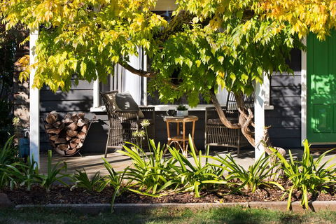 Ebony Twigg - Dentist Find 1