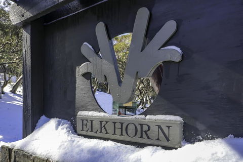 Elkhorn 11 - Dentist Find 2