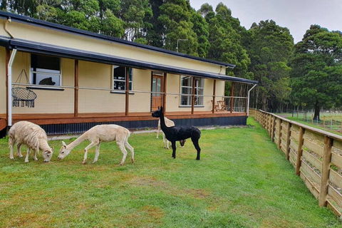 Farm Stay Lowana, Strahan - Dentist Find 0