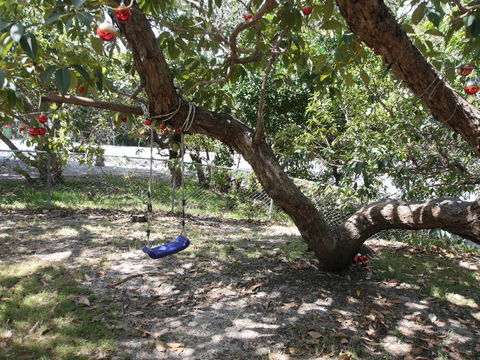 Frenchmans Folly - Dentist Search 2