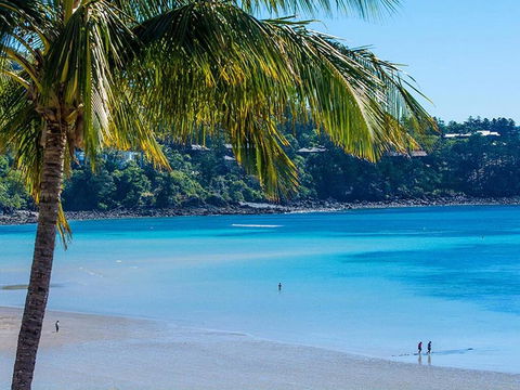 Fully Renovated Frangipani Beach Front Apartments - Dentist Find 2