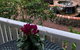 Genesta House - thumb 3