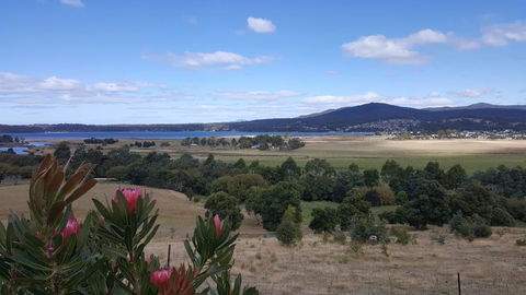 George River Park (House, 100 Acres, Animals, Views) - Dentist Find 2