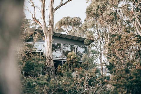 Getaway Bruny Island - Dentist Find 2