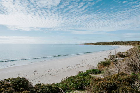 Glamping @ September Beach, Lincoln National Park - Dentist Find 2