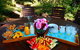 Glamping Byron Bay - thumb 1