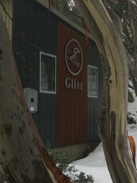 Gliss Ski Club - Dentists Australia 0