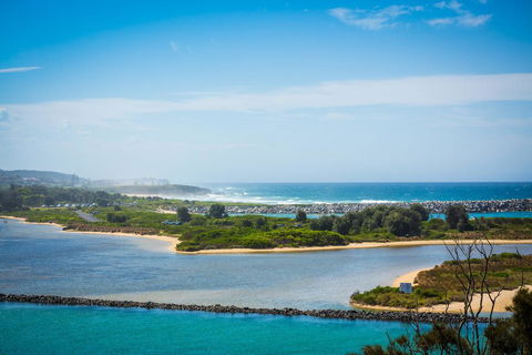 Grand Pacific I Unit 3 - Dentist Find 3