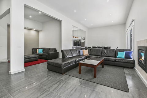 Great Scott! - Dentist Find 3