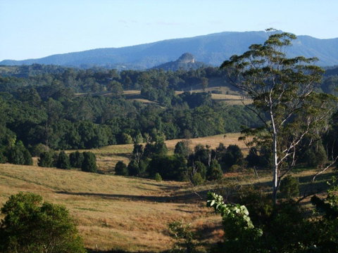 Grey Gum Lodge - Dentist Search 0