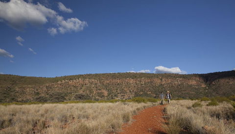 Gundabooka National Park Cottages - Dentist Find 2